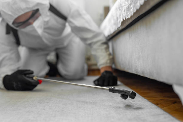 Professional Cockroach Control technician working in Jordan, MN