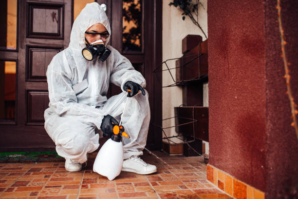 Reliable Cockroach Control contractor in Jordan, MN by Nex Pest Control